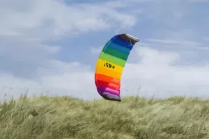 Cerf volant rainbow